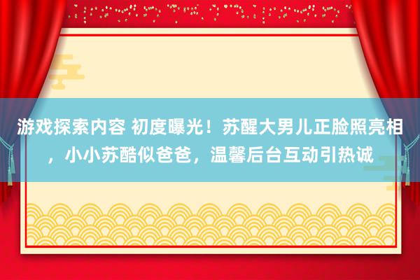 游戏探索内容 初度曝光！苏醒大男儿正脸照亮相，小小苏酷似爸爸，温馨后台互动引热诚