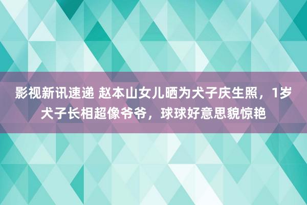 影视新讯速递 赵本山女儿晒为犬子庆生照，1岁犬子长相超像爷爷，球球好意思貌惊艳