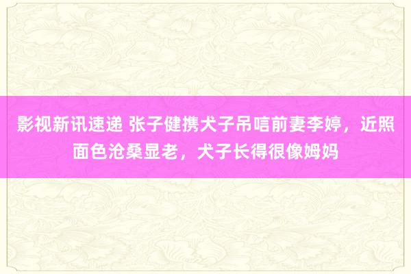 影视新讯速递 张子健携犬子吊唁前妻李婷，近照面色沧桑显老，犬子长得很像姆妈