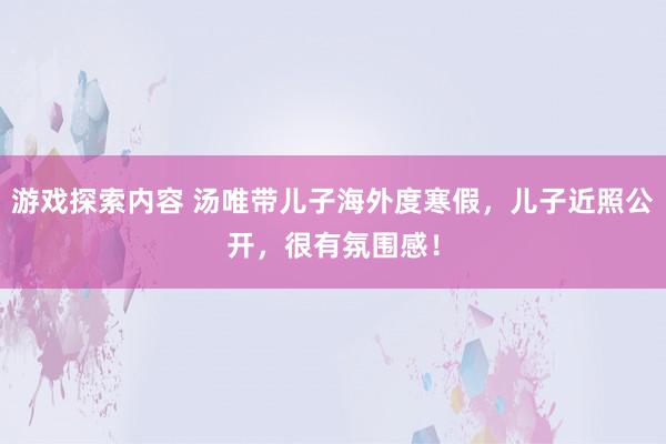 游戏探索内容 汤唯带儿子海外度寒假，儿子近照公开，很有氛围感！